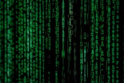 Cyber Liability
