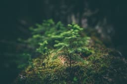 Environmental Impairment