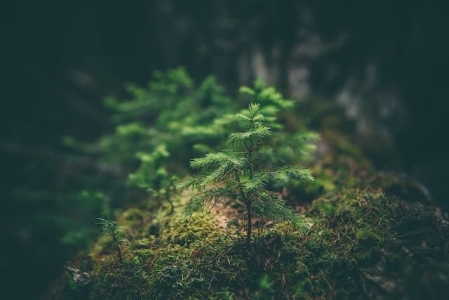Environmental Impairment Liability Insurance